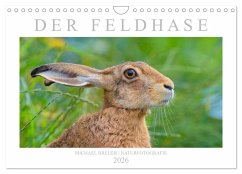Cover Der Feldhase (Wandkalender 2026 DIN A4 quer), CALVENDO Monatskalender