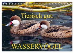 Tierisch gut: Wasservögel (Tischkalender 2026 DIN A5 quer), CALVENDO Monatskalender