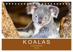 Koalas, putzige Gesellen (Tischkalender 2026 DIN A5 quer), CALVENDO Monatskalender