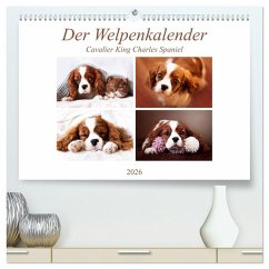 Der Welpenkalender - Cavalier King Charles Spaniel (hochwertiger Premium Wandkalender 2026 DIN A2 quer), Kunstdruck in Hochglanz Der Welpenkalender - Cavalier King Charles Spaniel (hochwertiger Premium Wandkalender 2026 DIN A2 quer), Kunstdruck in Hochglanz