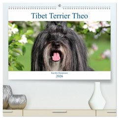 Tibet Terrier Theo (hochwertiger Premium Wandkalender 2026 DIN A2 quer), Kunstdruck in Hochglanz