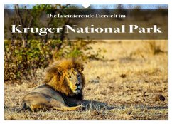 Faszinierende Tierwelt des Kruger National Parks (Wandkalender 2026 DIN A3 quer), CALVENDO Monatskalender Faszinierende Tierwelt des Kruger National Parks (Wandkalender 2026 DIN A3 quer), CALVENDO Monatskalender