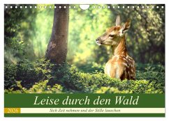 Leise durch den Wald. Sich Zeit nehmen und der Stille lauschen (Wandkalender 2026 DIN A4 quer), CALVENDO Monatskalender