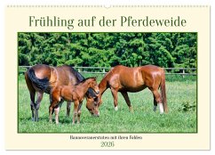Frühling auf der Pferdeweide (Wandkalender 2026 DIN A2 quer), CALVENDO Monatskalender Cover Frühling auf der Pferdeweide (Wandkalender 2026 DIN A2 quer), CALVENDO Monatskalender