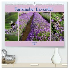 Farbzauber Lavendel (hochwertiger Premium Wandkalender 2026 DIN A2 quer), Kunstdruck in Hochglanz Farbzauber Lavendel (hochwertiger Premium Wandkalender 2026 DIN A2 quer), Kunstdruck in Hochglanz