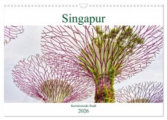 Cover Singapur - faszinierende Stadt (Wandkalender 2026 DIN A3 quer), CALVENDO Monatskalender