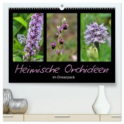 Heimische Orchideen im Dreierpack (hochwertiger Premium Wandkalender 2026 DIN A2 quer), Kunstdruck in Hochglanz Cover Heimische Orchideen im Dreierpack (hochwertiger Premium Wandkalender 2026 DIN A2 quer), Kunstdruck in Hochglanz