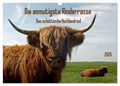 Cover Die anmutigste Rinderrasse - Das schottische Hochlandrind (Wandkalender 2026 DIN A3 quer), CALVENDO Monatskalender