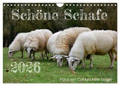 Schöne Schafe (Wandkalender 2026 DIN A4 quer), CALVENDO Monatskalender Schöne Schafe (Wandkalender 2026 DIN A4 quer), CALVENDO Monatskalender