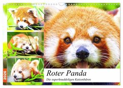 Cover Roter Panda. Die superknuddeligen Katzenbären (Wandkalender 2026 DIN A3 quer), CALVENDO Monatskalender