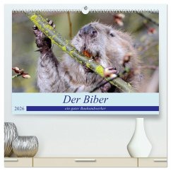 Cover Der Biber, ein guter Bauhandwerker (hochwertiger Premium Wandkalender 2026 DIN A2 quer), Kunstdruck in Hochglanz