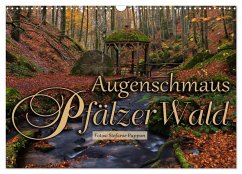 Augenschmaus Pfälzer Wald (Wandkalender 2026 DIN A3 quer), CALVENDO Monatskalender