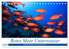 Rotes Meer Unterwasser (Tischkalender 2026 DIN A5 quer), CALVENDO Monatskalender Rotes Meer Unterwasser (Tischkalender 2026 DIN A5 quer), CALVENDO Monatskalender