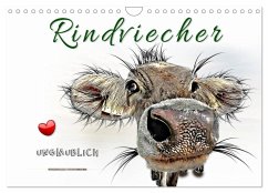 Rindviecher unglaublich (Wandkalender 2026 DIN A4 quer), CALVENDO Monatskalender Rindviecher unglaublich (Wandkalender 2026 DIN A4 quer), CALVENDO Monatskalender