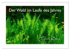 Cover Der Wald im Laufe des Jahres (Wandkalender 2026 DIN A3 quer), CALVENDO Monatskalender