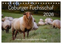 Coburger Fuchsschaf (Tischkalender 2026 DIN A5 quer), CALVENDO Monatskalender Coburger Fuchsschaf (Tischkalender 2026 DIN A5 quer), CALVENDO Monatskalender