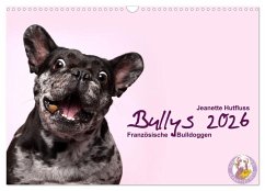 Bullys - Französische Bulldoggen 2026 (Wandkalender 2026 DIN A3 quer), CALVENDO Monatskalender