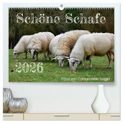 Schöne Schafe (hochwertiger Premium Wandkalender 2026 DIN A2 quer), Kunstdruck in Hochglanz Schöne Schafe (hochwertiger Premium Wandkalender 2026 DIN A2 quer), Kunstdruck in Hochglanz