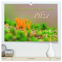 Cover Die bunte Welt der Pilze (hochwertiger Premium Wandkalender 2026 DIN A2 quer), Kunstdruck in Hochglanz