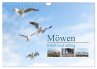 Möwen frech und witzig (Wandkalender... - Bild 1