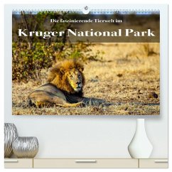 Faszinierende Tierwelt des Kruger National Parks (hochwertiger Premium Wandkalender 2026 DIN A2 quer), Kunstdruck in Hochglanz