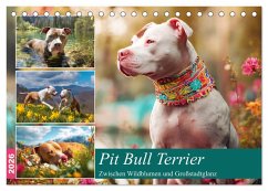 Cover Pit Bull Terrier. Zwischen Wildblumen und Großstadtglanz (Tischkalender 2026 DIN A5 quer), CALVENDO Monatskalender
