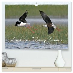 Limikolen - Watvögel Europas (hochwertiger Premium Wandkalender 2026 DIN A2 quer), Kunstdruck in Hochglanz Limikolen - Watvögel Europas (hochwertiger Premium Wandkalender 2026 DIN A2 quer), Kunstdruck in Hochglanz