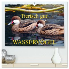 Tierisch gut: Wasservögel (hochwertiger Premium Wandkalender 2026 DIN A2 quer), Kunstdruck in Hochglanz Tierisch gut: Wasservögel (hochwertiger Premium Wandkalender 2026 DIN A2 quer), Kunstdruck in Hochglanz