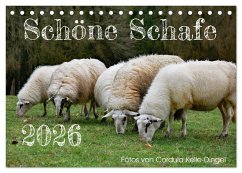 Schöne Schafe (Tischkalender 2026 DIN A5 quer), CALVENDO Monatskalender Schöne Schafe (Tischkalender 2026 DIN A5 quer), CALVENDO Monatskalender