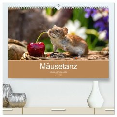Mäusetanz (hochwertiger Premium Wandkalender 2026 DIN A2 quer), Kunstdruck in Hochglanz Mäusetanz (hochwertiger Premium Wandkalender 2026 DIN A2 quer), Kunstdruck in Hochglanz