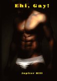 Ehi, Gay!