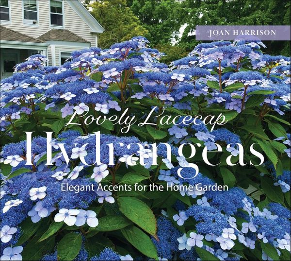 Lovely Lacecap Hydrangeas (eBook, ePUB)
