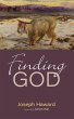 Finding God (eBook, ePUB) - Bild 1