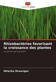Rhizobactéries favorisant la croissance des plantes Rhizobactéries favorisant la croissance des plantes