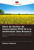 Gène du facteur de transcription MYB lié à la sécheresse chez Brassica Gène du facteur de transcription MYB lié à la sécheresse chez Brassica