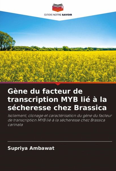 Gène du facteur de transcription MYB lié à la sécheresse chez Brassica