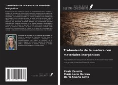Cover Tratamiento de la madera con materiales inorgánicos