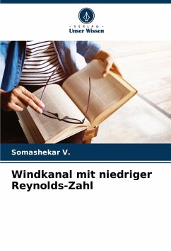 Cover Windkanal mit niedriger Reynolds-Zahl