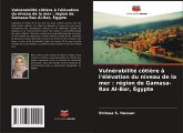 Vulnérabilité côtière à l'élévation du niveau de la mer : région de Gamasa-Ras Al-Bar, Égypte Vulnérabilité côtière à l'élévation du niveau de la mer : région de Gamasa-Ras Al-Bar, Égypte