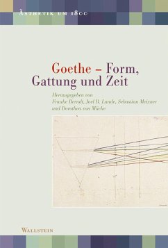 Cover Goethe - Form, Gattung und Zeit