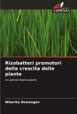 Rizobatteri promotori della crescita delle piante