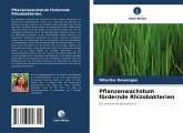 Pflanzenwachstum fördernde Rhizobakterien Pflanzenwachstum fördernde Rhizobakterien