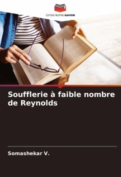 Cover Soufflerie à faible nombre de Reynolds