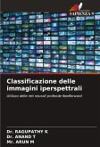 Classificazione delle immagini iperspettrali