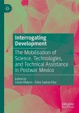 Interrogating Development (eBook, PDF)