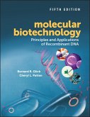 Molecular Biotechnology (eBook, ePUB)