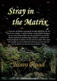 Stray in the Matrix (eBook, ePUB) Stray in the Matrix (eBook, ePUB)