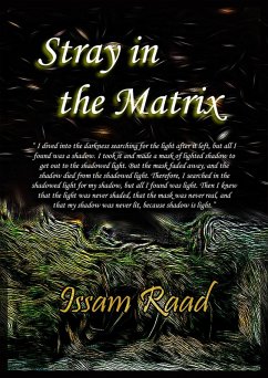 Cover Stray in the Matrix (eBook, ePUB)