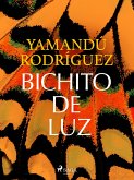 Bichito de luz (eBook, ePUB)