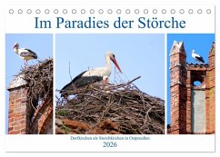 Cover Im Paradies der Störche - Dorfkirchen als Storchkirchen in Ostpreußen (Tischkalender 2026 DIN A5 quer), CALVENDO Monatskalender